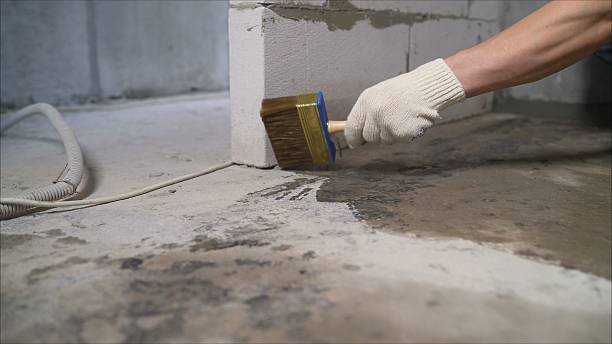 Top rated local Waterproofing specialists in Rosenhayn, NJ